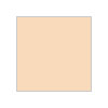 Краска Mr. Color C111 (CHARACTER FLESH (1)) gsi_c111.jpg