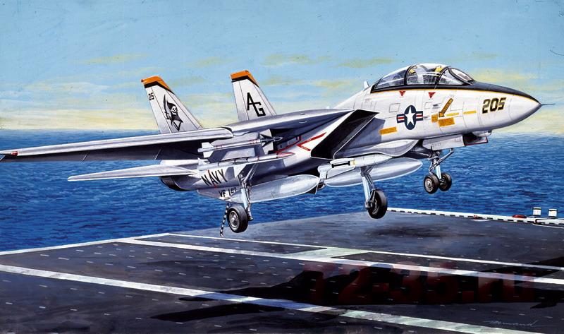 Самолет F-14 A Tomcat